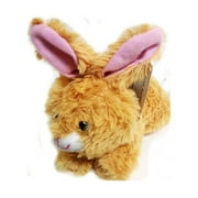Easter Brown Bunny