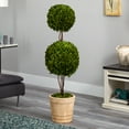 thumbnail image 3 of Nearly Natural 4' Preserved Boxwood Double Ball Artificial Topiary in Planter, Green, 3 of 4