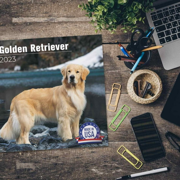 2022 2023 Golden Retriever Calendar - Dog Breed Monthly Wall Calendar - 12  x 24 Open - Thick No-Bleed Paper - Giftable - Academic Teacher's Planner  Calendar Organizing & Planning - Made in USA - Walmart.com