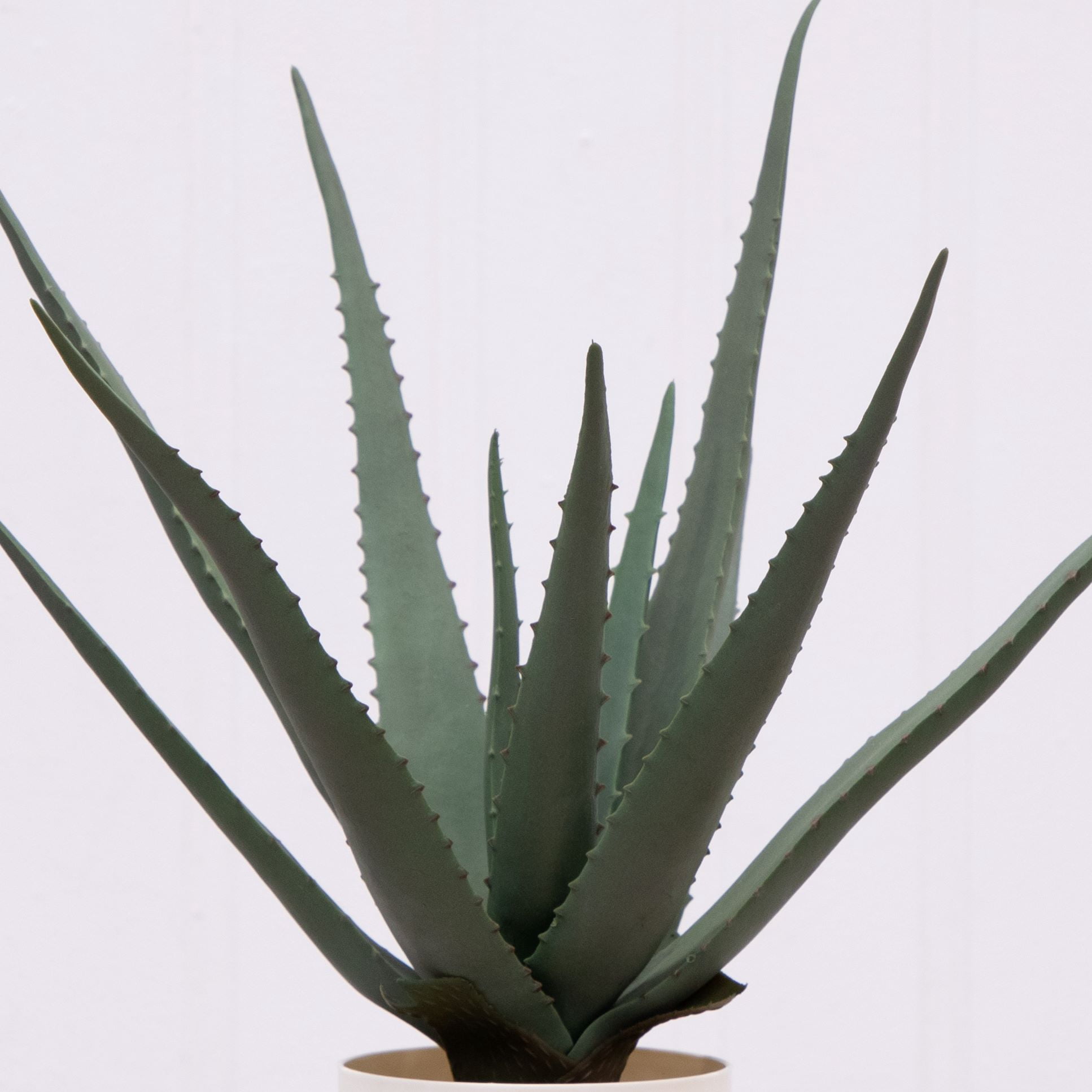 Mainstays 17.5"H Artificial Indoor Medium Agave Plant in Plastic Vanilla Planter