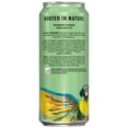 thumbnail image 3 of Yachak Yerba Mate Drink, Ultimate Mint, 16 fl oz, 12 Pack Cans, 3 of 13