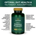 thumbnail image 2 of Swanson Ultra Potency Probiotic Vegetable Capsules, 66 Billion Cfu, 60 Count, 2 of 8