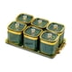 thumbnail image 2 of Tarro para condimentos con bandeja Botes para condimentos 6 rejillas Tarro para condimentos multiusos Verde, 2 of 9