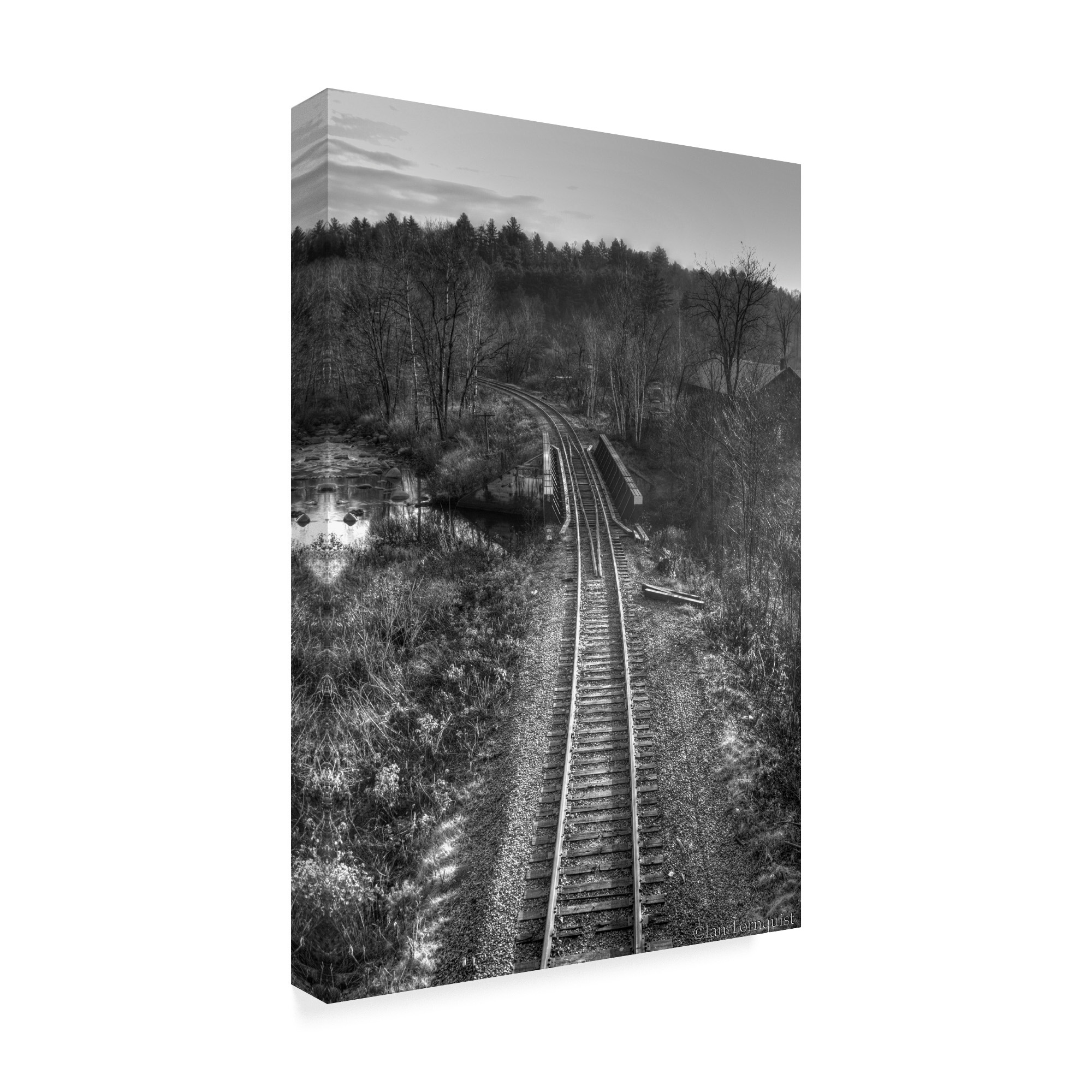 Trademark Fine Art 'Lonely Tracks Grayscale' Canvas Art by Ian Tornquist