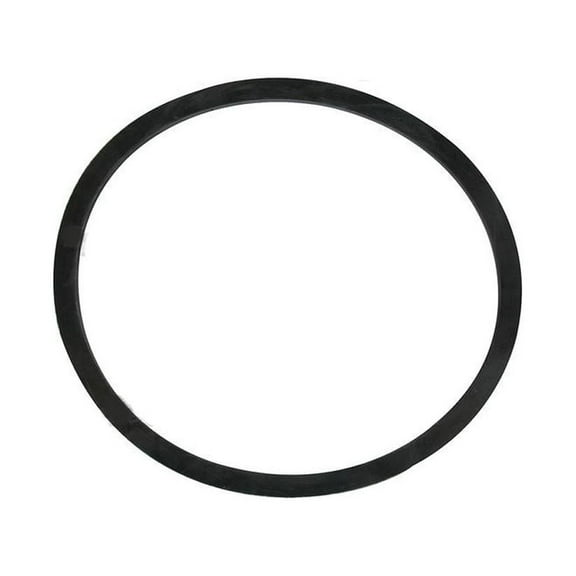 RAParts 1750269M1 Oil Filter Cover Plate Gasket Fits Massey Ferguson TE20 TO20