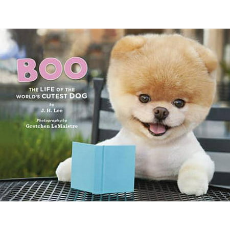 Boo : The Life of the World's Cutest Dog (Halloween Books for Kids, Halloween Books for Toddlers, Cute Halloween Stories)