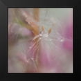 thumbnail image 2 of Hunt, Gillian 12x12 Black Modern Framed Museum Art Print Titled - Fairy Dance II, 2 of 5
