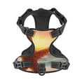thumbnail image 4 of Picia Starfish Sunset Sea Beach No-Pull Dog Harness Reflective Front Clip Vest with Handle,Step-in Air Dog Harness,Adjustable 2 Metal Rings 4 Buckles,Easy to Put on & Take Off Small, 4 of 9