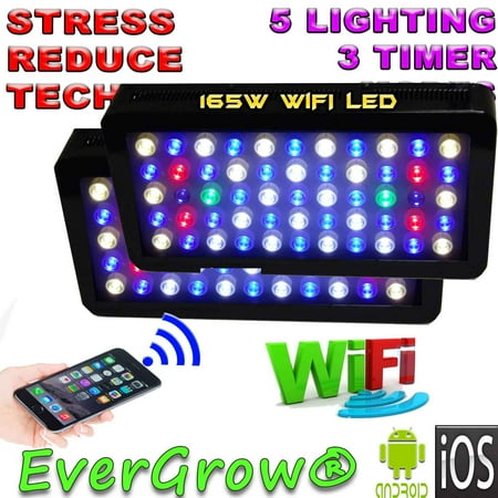 2pcs evergrow 165w wifi
