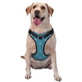 thumbnail image 1 of Easygdp Cartoon Whale for Adjustable Dog Harness, S-XL Reflective Pet Vest for Small, Medium, and Large Dogs-Small, 1 of 6