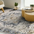 thumbnail image 4 of LOKHOM 5'x7' Boho Area Rug for Living Room, Non Slip Machine Washable Rugs Vintage Floor Carpet for Bedroom Dinning Room Kitchen, Beige Gray, 4 of 14