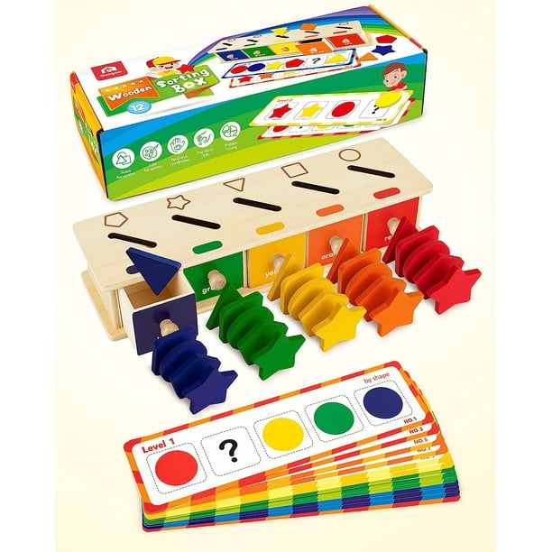 Montessori Materials Three Shapes Sorting Box