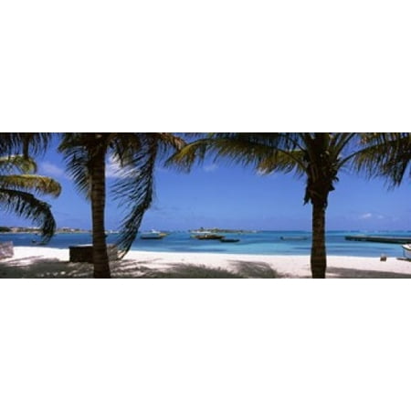 Palm trees on the beach Anguilla Canvas Art - Panoramic Images (18 x 7)