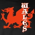 thumbnail image 3 of CafePress - Wales Long Sleeve Dark T Shirt - Long Sleeve Dark T-Shirt, 3 of 4