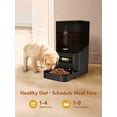 thumbnail image 2 of NPET Automatic Pet Feeder, 6L Dog and Cat Food Dispenser for Small & Medium Pets, Automatic Dog Feeder with Programmable Timer (Black), 2 of 6