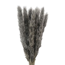 MixMart 15Pcs Dried Pampas Grass Phragmites Reed Flower Bunch 18 Tall for Plants Home Orange