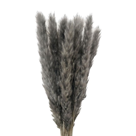 MixMart 15Pcs Dried Pampas Grass Phragmites Reed Flower Bunch 18 Tall for Plants Home Orange