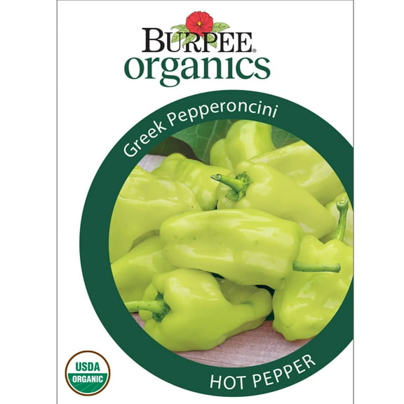 Burpee Organic Greek Pepperoncini Hot Pepper Vegetable Seed, 1-Pack