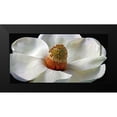 thumbnail image 2 of Reynolds, Richard 14x9 Black Modern Framed Museum Art Print Titled - Southern Magnolia, 2 of 5