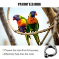 thumbnail image 3 of Mascota pájaro palomas loro pierna anillos pájaro anillos vuelo al aire libre, 3 of 6