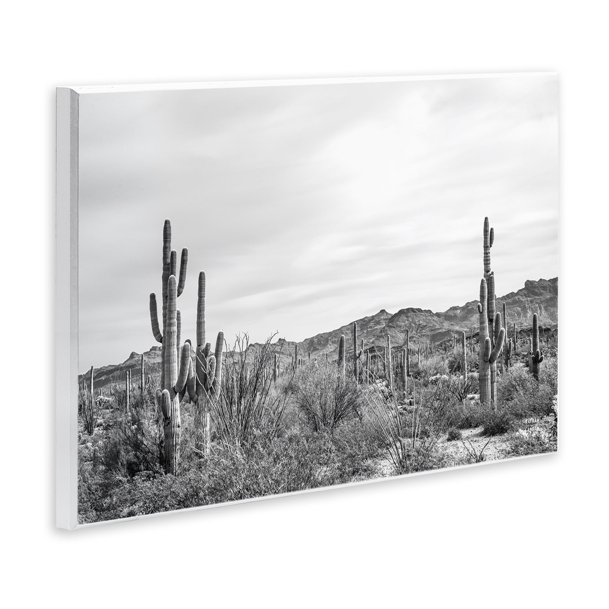 Stupell Industries Sonoran Desert Wonderland Landscape & Nature Photography Unframed Art Print Wall Art, 15 x 10