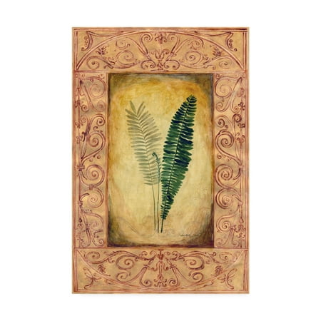 Trademark Fine Art 'Fern Leaf Framed 6' Canvas Art by Pablo Esteban