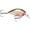 Bleeding Olive Shiner, variant on Rapala Dives-To Crankbait 06 Bleeding Olive Shiner