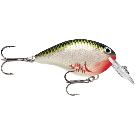 Rapala Dives-To Crankbait 06 Bleeding Olive Shiner
