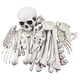 thumbnail image 1 of 1 paquete de huesos de esqueleto de Halloween para decoraciones de Halloween, 1 of 3