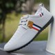 thumbnail image 4 of Zapatos informales para hombre, Zapatillas bajas con cordones para hombre, zapatillas De lona transpirables para exteriores, zapatos antideslizantes para caminar para hombre, Zapatillas De Deporte, 4 of 5