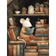 thumbnail image 1 of QISVANSET Whimsical Mouse Reading Canvas Wall Art 15.75x11.81 Inches, 1 of 5