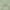 Sage, variant on Addison Rugs Mayfield Washable Transitional Floral Aloe Rectangle Rug, 10' x 14'