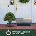 thumbnail image 4 of Fraser Hill Farm 2.5-Ft. Joyful Porch Tree in Pedestal Urn with Pinecones, Berries, and Ornaments, FFJFPT030-0GR, 4 of 11