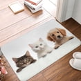 thumbnail image 4 of Rateoe Cute Kittens And Puppy Pattern Flannel Door Mat Indoor Outdoor Entrance, Waterproof All-Weather Doormat,Fade Resistant, Low Profile Entryway Mat 16x24in, 4 of 7