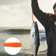 thumbnail image 4 of Cebo de señuelo, 10 piezas Cebos de pesca de silicona Gusano de pesca de silicona Señuelos blandos Diseño de clase mundial, 4 of 8