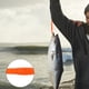thumbnail image 4 of Cebo de señuelo, 10 piezas Cebos de pesca de silicona Gusano de pesca de silicona Señuelos blandos Diseño de clase mundial, 4 of 8