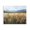 Sunlit Meadow Mountain Landscape, variant on Stupell Industries Cottage Vintage Wildflowers in Field Black Floating Frame Canvas Art, 21 x 17, by Petals Prints Design