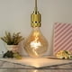 thumbnail image 2 of Bombilla LED G125, 4 W, regulable, E27 220-240 V, ideal para iluminación decorativa en salones., 2 of 5