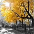 thumbnail image 2 of Art.com Park Pretty II Stretched Canvas Print Wall Art by Assaf Frank, 16" x 16", 2 of 4