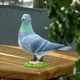 thumbnail image 3 of Estatuas de jardín de pájaros de resina Simulación Adornos de animales Modelo de pájaro de imitación Miniaturas Adornos de pájaros Estatua al aire, 3 of 6