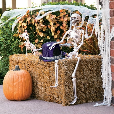 Fun Express - 3' Posable Skeleton for Halloween - Home Decor - Decorative Accessories - Home Accents - Halloween - 1 Piece