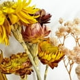 thumbnail image 5 of Bergamo Art 20 Inch High Real Preserved Mixed Bouquets Mix 1 in Large, 5 of 10