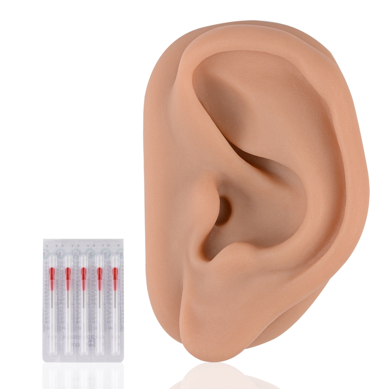Acupuncture Ear Model, Left Artificial Ear Replica for Auricular