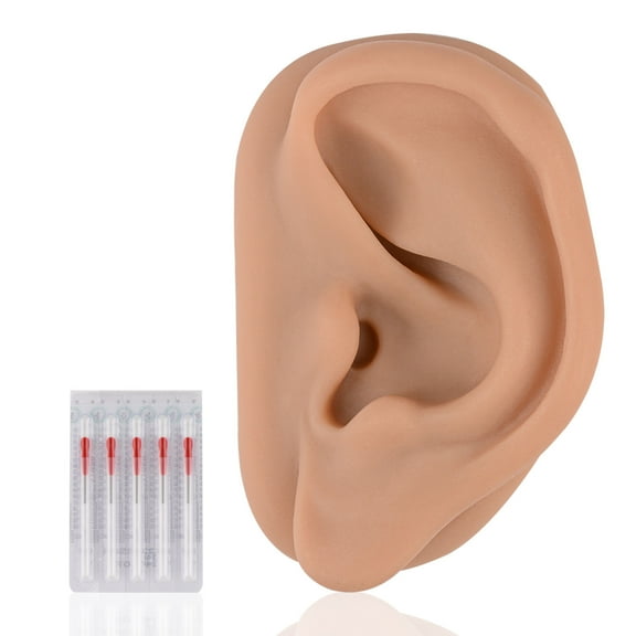 Acupuncture Ear Model, Left Artificial Ear Replica for Auricular Therapy Teaching, Silicone Ear Simulator