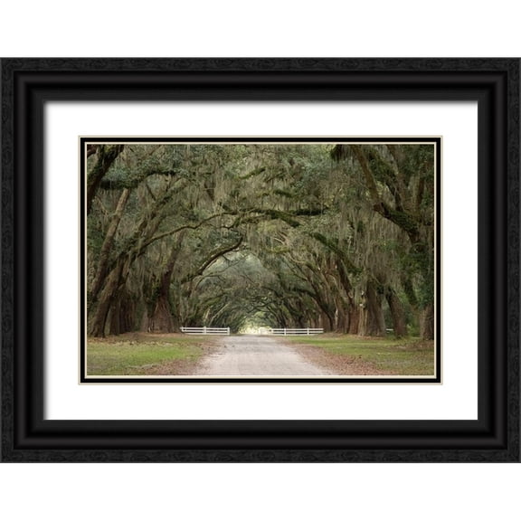 Miller, Anna 32x23 Black Ornate Wood Framed with Double Matting Museum Art Print Titled - Live Oak Alley-Savannah-Georgia