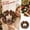 B#0261, variant on Christmas Diamond Painting Wreath DIY Kit with LED Lights, 8 in Pearl Diamond Art Kit for Adults, Acrylic Christmas Cottage Hanging Ornament for Door Wall Home Decoration Gift