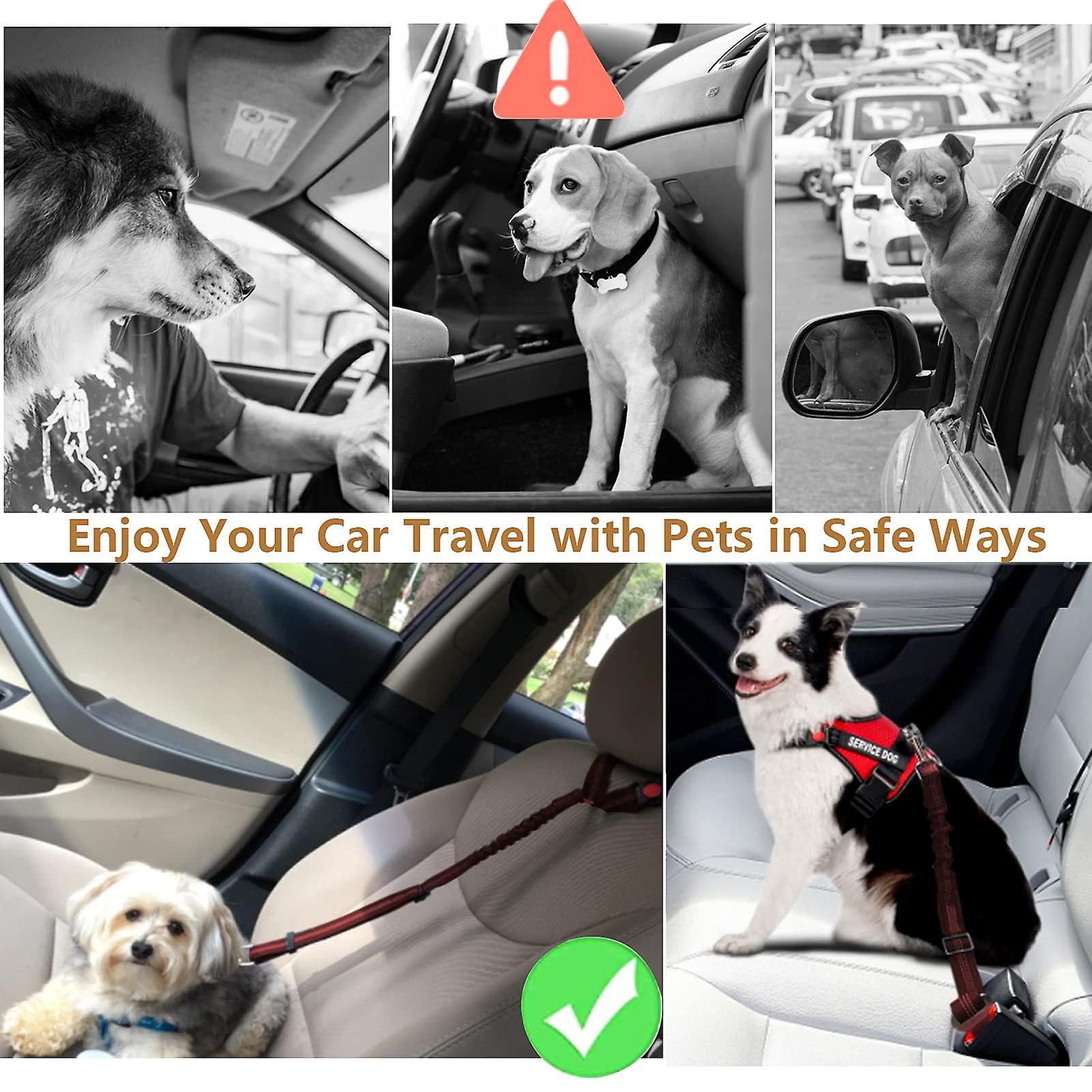 Dog headrest restraint online