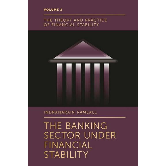 Theory and Practice of Financial Stability: The Banking Sector Under Financial Stability (Hardcover)