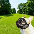 thumbnail image 1 of Bozal para perros de hocico corto Yinane malla transpirable ajustable Anti-mordiscos, 1 of 8