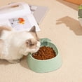 thumbnail image 6 of Cartoon Pineapple Strawberry Pet Bowl Style Spill Proof Cat And Dog Feeding Dish With Large 800ml Capacity, 6 of 8